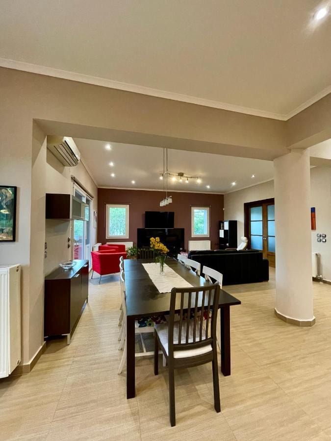 Villa Apollon Paian Lefkáda Esterno foto