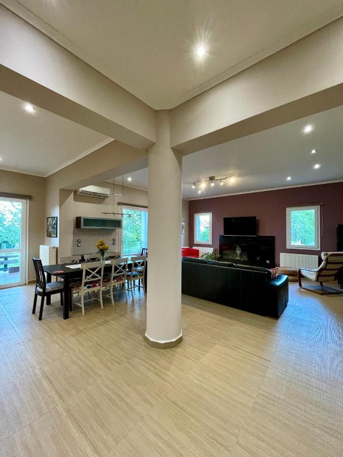 Villa Apollon Paian Lefkáda Esterno foto