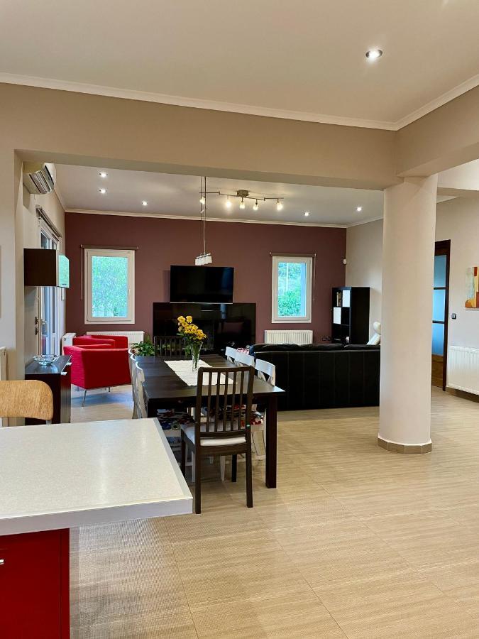 Villa Apollon Paian Lefkáda Esterno foto